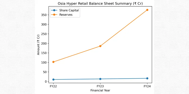 OSIA HYPER RETAIL LIMITED FINANCIAL AND BUSINESS ANALYSIS REPORT